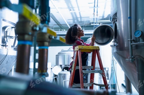Preview: Mid adult woman in brewery on stepladder looking into conical fermentation tank