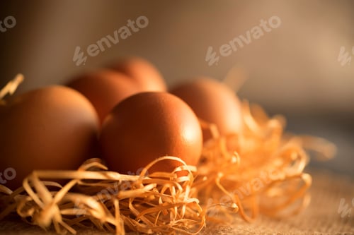 Preview: Fresh farm brown eggs on rustic background