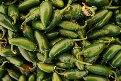 Preview: Green peppers background