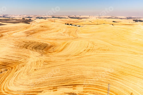 Preview: Beautiful view of a harvested wheat field with a rolling hill surface