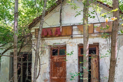 Preview: Market Shop Facade - Zalissya Village, Chernobyl Exclusion Zone, Ukraine