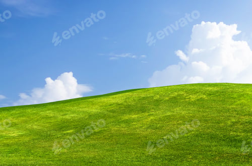 Preview: Landscape with green grass field under a blue sky