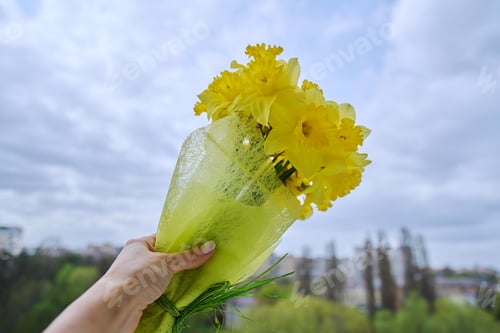Preview: Bouquet of yellow daffodils in woman's hand against sky in clouds
