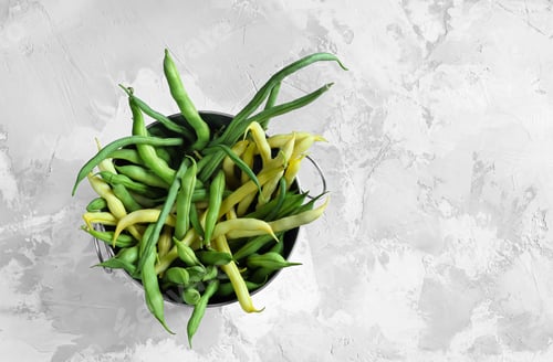 Preview: Green and yellow bean pods in metal bucket on gray background