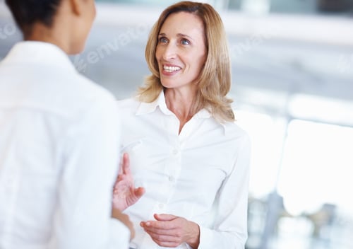 Preview: Business women conversing with each other