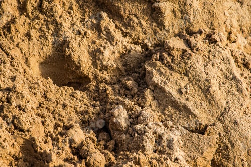 Preview: Texture of yellow building sand close up.