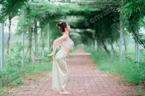 Preview: chinese dancing