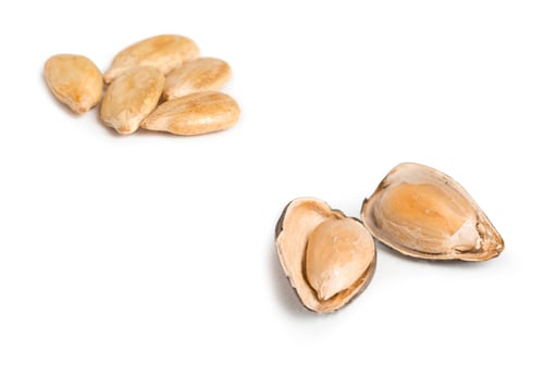 Preview: open sunflower seed