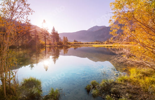Preview: Autumn lake