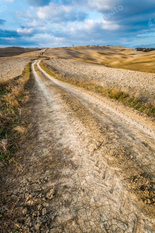 Preview: Autumn Country Road in Tuscany