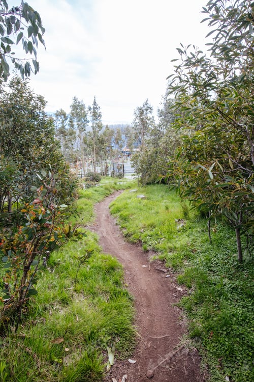 Preview: Lake Mountain Bike Park in Australia