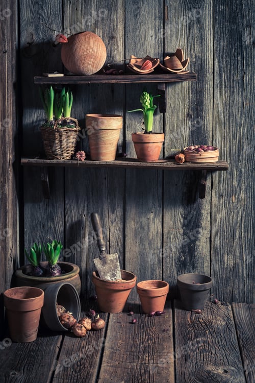 Preview: Old shed with old clay pots and gardening tools