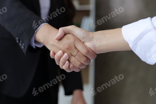 Preview: Businesswoman shaking hands with business partner in office.