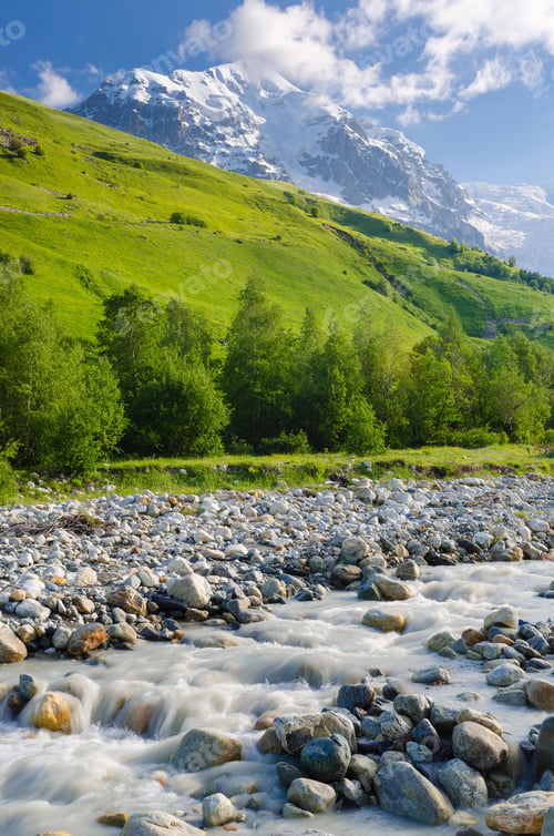 Preview: Summer landscape with a mountain river