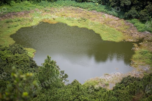 Preview: Crater of the volcano with green forest and a lake in Mauritius.