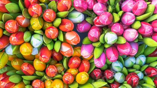 Preview: Tulips, petal, lovely, wallpaper, background