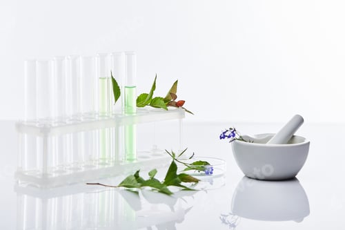 Preview: glass test tubes, mortar with pestle near plants isolated on white
