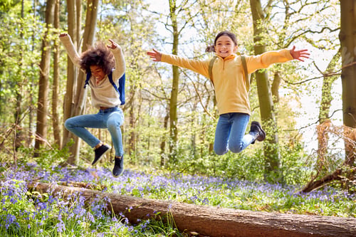 Preview: Two Children Walking Through Bluebell Woods In Springtime Jumping Over Log