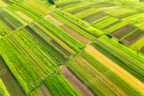 Preview: Aerial view of green agricultural fields in spring with fresh vegetation after seeding season