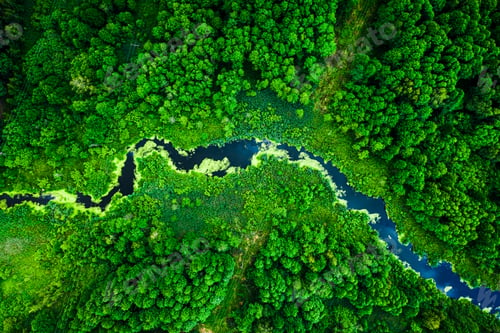 Preview: Amazing blooming algae on green river, aerial view
