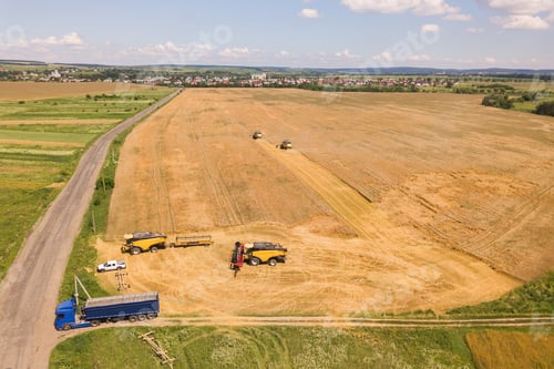 Preview: Aerial view of combine harvesters harvesting large yellow ripe wheat field