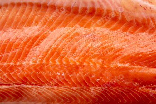 Preview: Organic Raw Salmon Fillet on a wooden board, top view. Flat lay, overhead, from above. Close-up.
