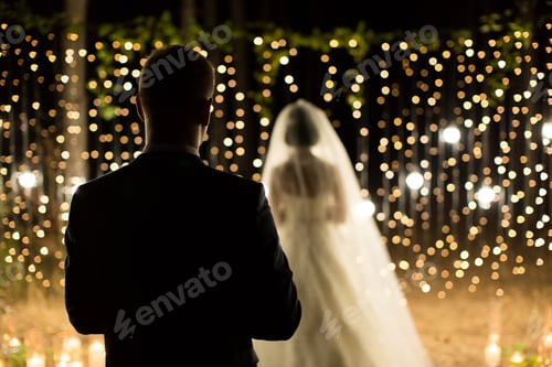 Preview: Wedding ceremony night. Meeting of the newlyweds, the bride and groom in the coniferous pine forest
