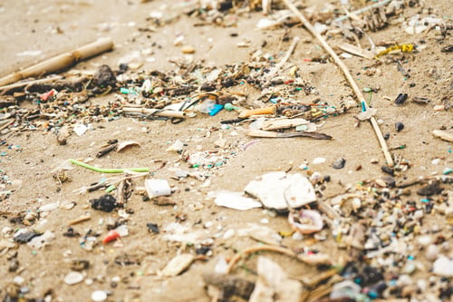 Preview: Plastic and microplastic in the sand beach