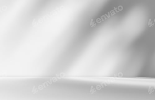 Preview: Empty white room studio with leaves shadow overlay effect.