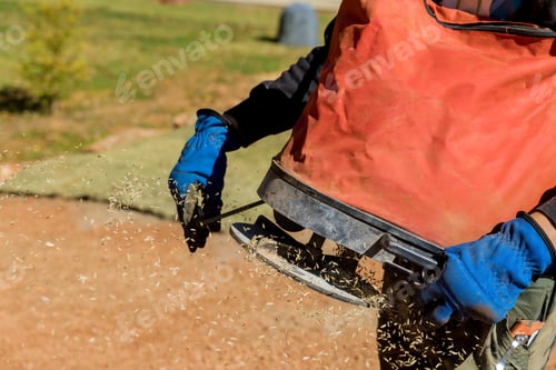 Preview: A landscaper is hired by a gardener to use a seeding device to sow lawn grass seed on a lawn.