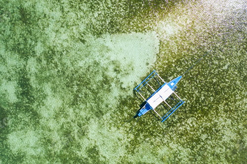 Preview: Top down aerial view of a tourist boat over a tropical coral reef in a clear ocean