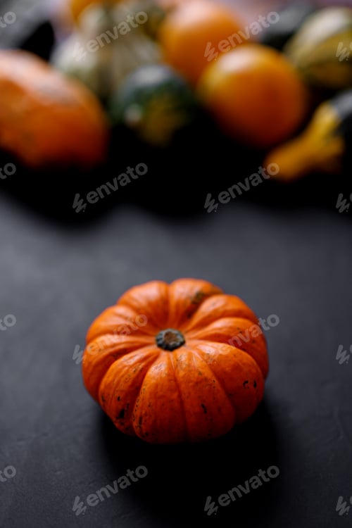 Preview: Autumn Pumpkin Thanksgiving Background - orange pumpkins over black table