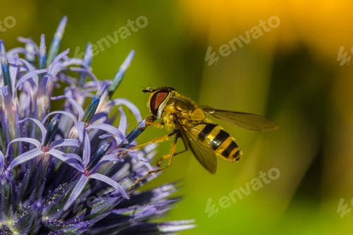 Preview: Pollinators are required for human foods