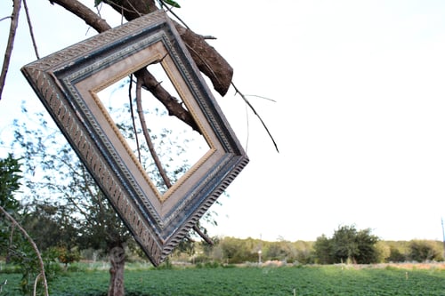 Preview: Photo frame in a tree