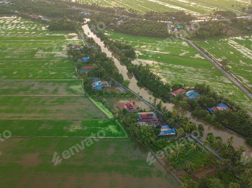 Preview: Drone shot of paddy fields during sunrise from high angle view which is located in Perak, Malaysia