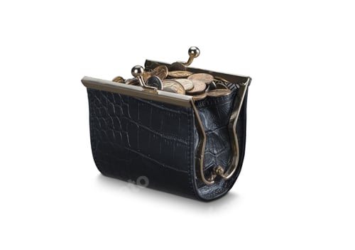 Preview: coin purse