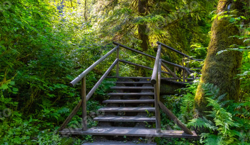 Preview: Lynn Canyon Park, North Vancouver, British Columbia, Canada