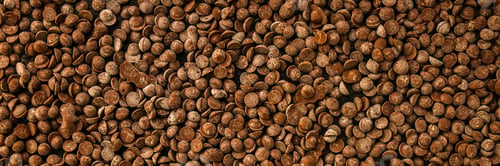 Preview: Chocolate Drops (Black Or Milk Chocolate, Sweet Ingredient) Menu Concept. Food Background. Copy