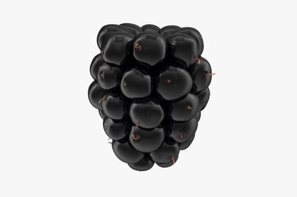 Preview: Circular arrangement of black grapes with orange highlights