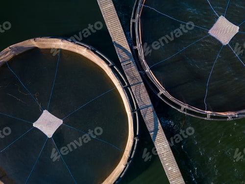Preview: Salmon fish farm in the river aerial view