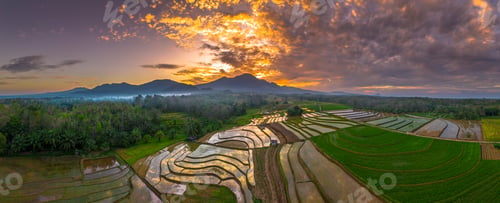 Preview: Beautiful morning view indonesia panorama landscape paddy fields