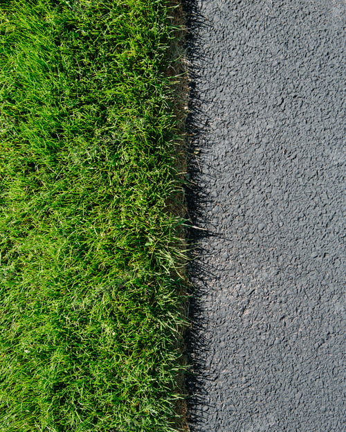 Preview: Detail of lush, green grass and sidewalk, near Quincy