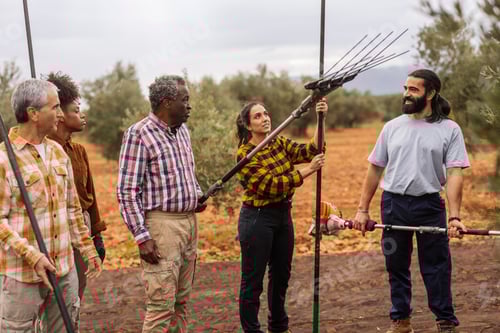 Preview: Farmers using olive harvester for olive collection in orchard