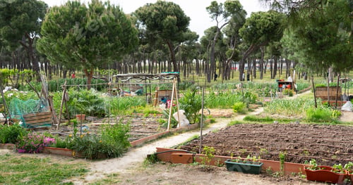 Preview: Community organic garden