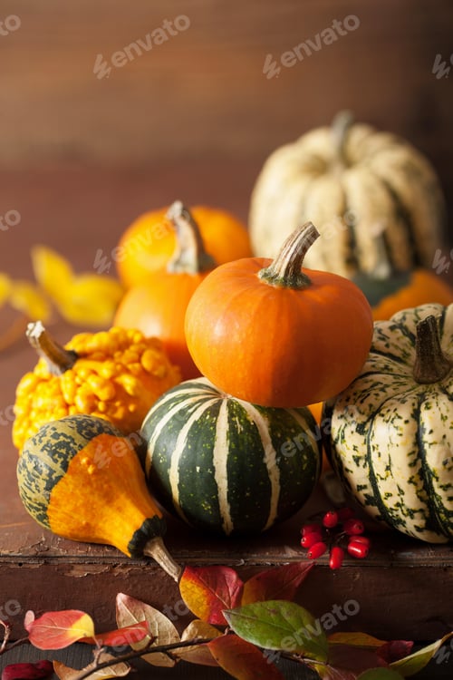 Preview: decorative pumpkins and autumn leaves for halloween