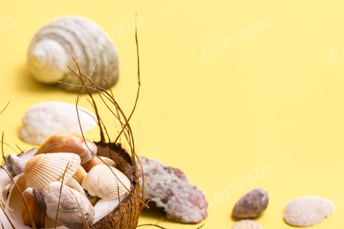 Preview: coconuts and shells on a yellow background .Marine theme