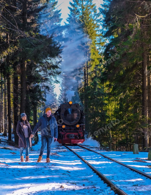 Preview: couple of men and women watching the steam train during winter in the snow in the Harz Germany