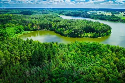 Preview: Stunning blooming algae on the lake in summer, aerial view