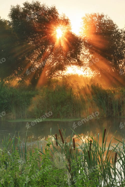 Preview: Sun rays on sunrise on the river
