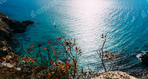 Preview: Summer landscape with sea. Sea aerial view. Aerial view of a paradise sea with clear water